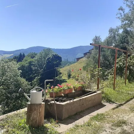 Villa Gite De La Ferme De La Bouille Sainte-Marie-aux-Mines
